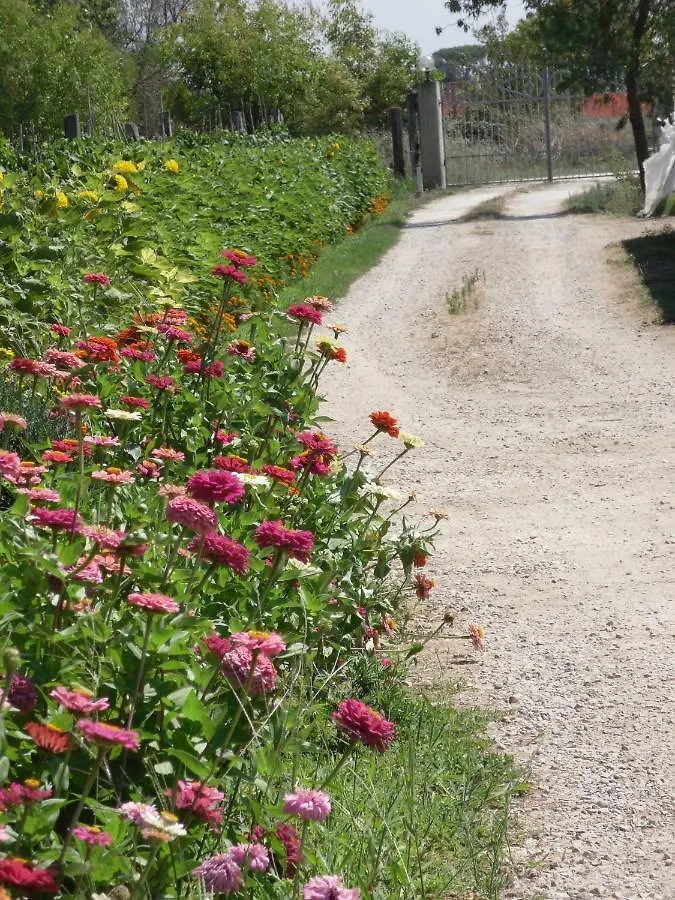 Agriturismo San Rocco Marina di Grosseto 0*,  Italy