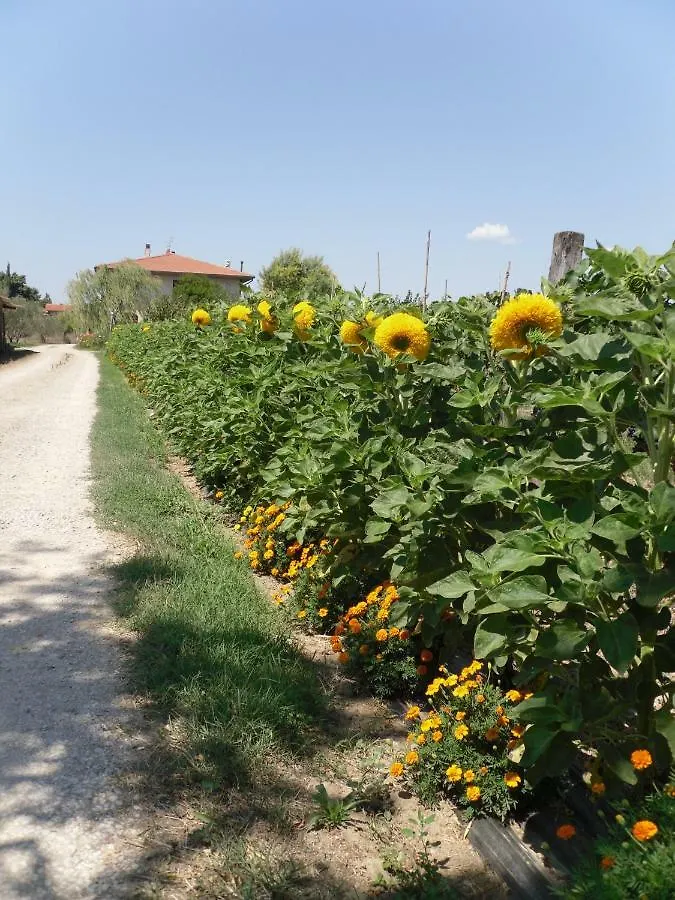 Appartamento Agriturismo San Rocco Marina di Grosseto Italia